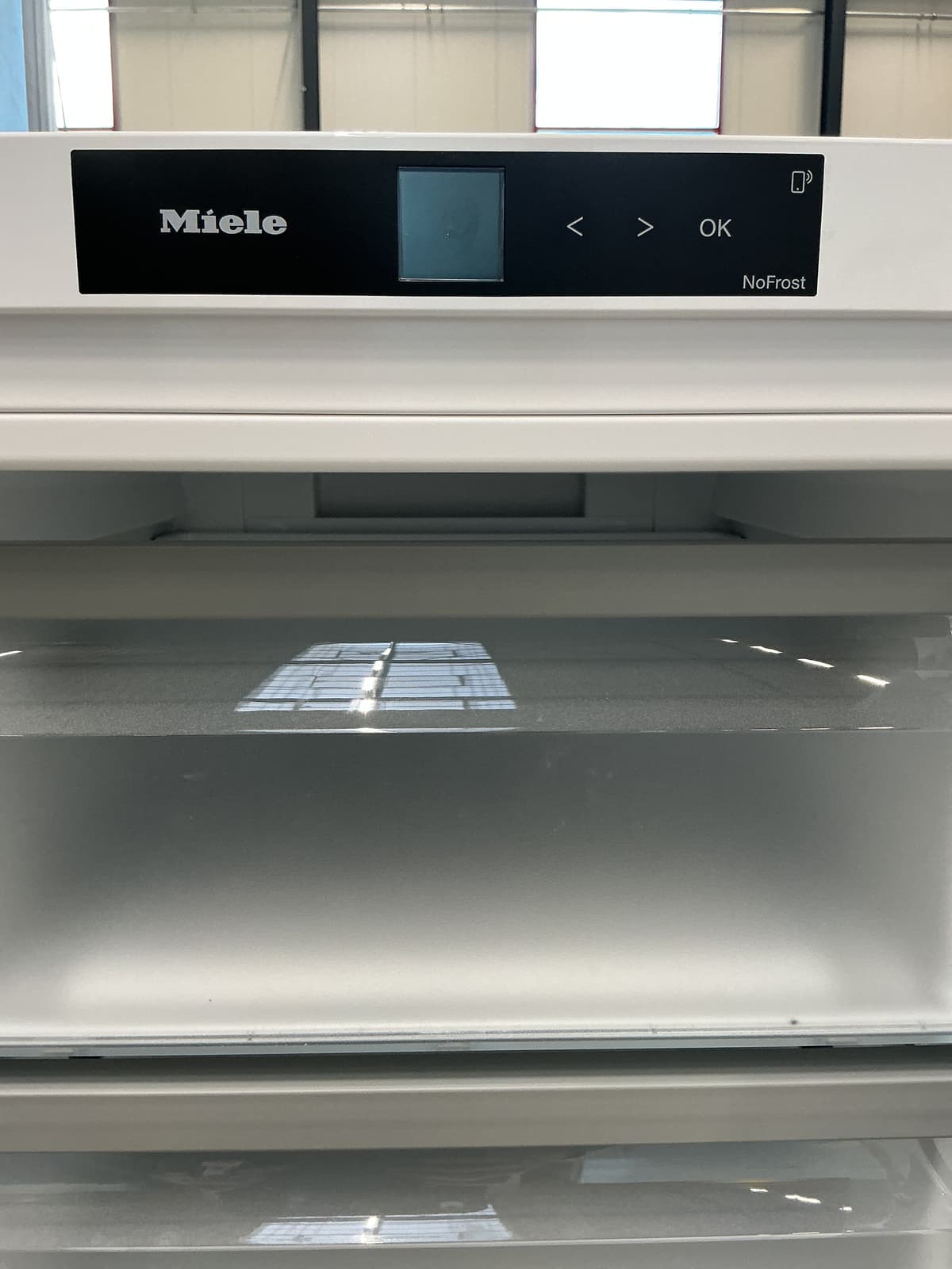 Miele Gefrierschrank Fn4322c Generalüberholt